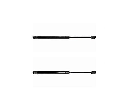 Pair Tailgate Trunk Gas Shock Struts Fits Chevrolet AVEO KALOS Daewoo KALOS